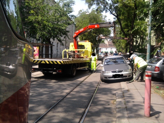 parkujemakodebil (3)