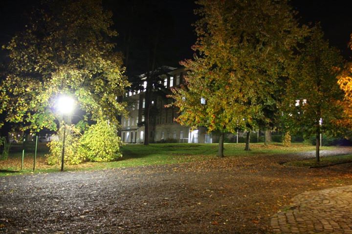 To co dni priniesli (zachytene objektivom) 035