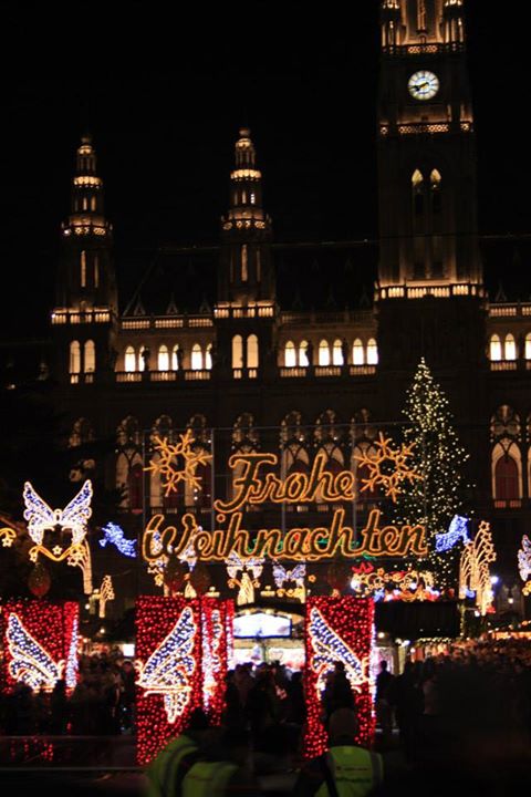 Vieden vianoce 2013 004