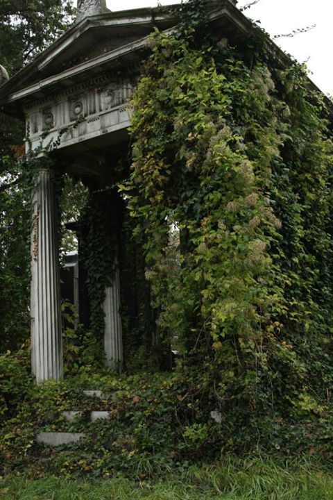 Zentralfriedhof Wien 011