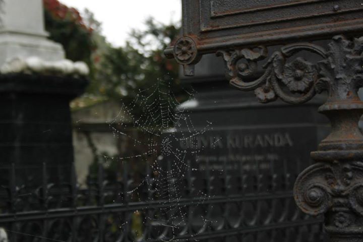 Zentralfriedhof Wien 013