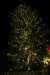 Vieden vianoce 2013 001