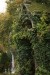 Zentralfriedhof Wien 012